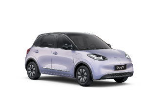 Wuling Binguo